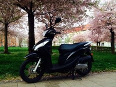 Foto Moped- & Mofa-Führerschein